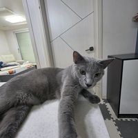 오리지널 사운드 - 자기