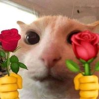 piirxd4_