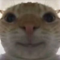 偷吃小曲