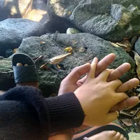 original sound - inggisajaaaa03