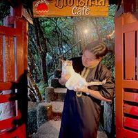 เสียงต้นฉบับ - จุดคัดกรองน้ําตา