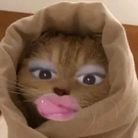 original sound - litch804