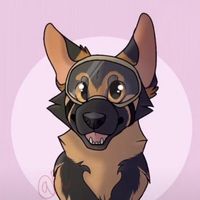 echo_gsd