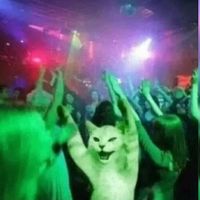 suara asli - Sc l R