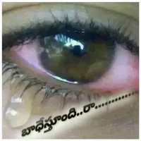 original sound - userkchp0to4s24