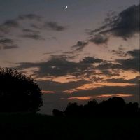 _vale011