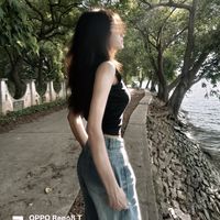 noe13662