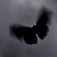 hout4rou_
