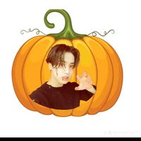 bang.chan.stay28