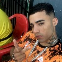 _vieira504