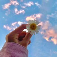 jui_arabi_07