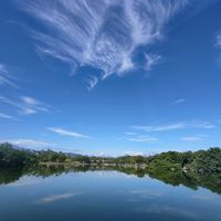 原聲 - 品蓁