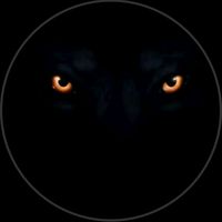 i.am.adeeldar