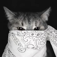 suara asli - Reinato777🚀