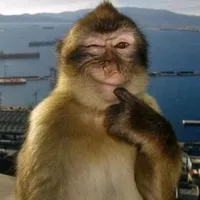 original sound - itz_andaa