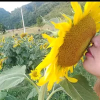 ហេងចូលហេង