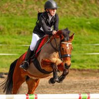 sophie.eqspam