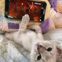 original sound - .paisaaa