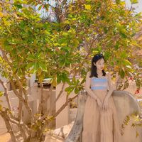 thanhthuy_hachi