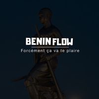 benin_flow