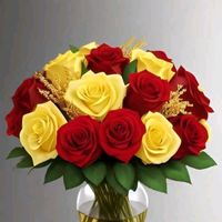 warda.warda.12381