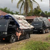 bunga_padi1