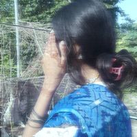chisti513