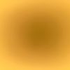 wan_0316