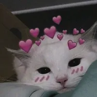 original sound - heydi.z