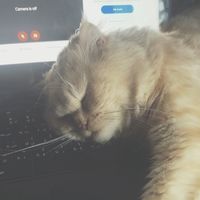 karmasspamooo