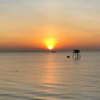 nhạc nền - Mie🥑