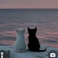 habibamagdy24