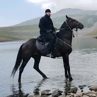 original sound - kavkaz139