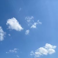 オリジナル楽曲 - greengeniusboy