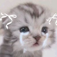 오리지널 사운드 - (T⌓T)