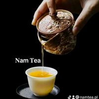 namtea.pl