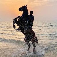 muddassar9
