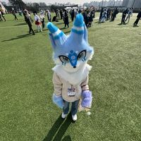 sharp_furry