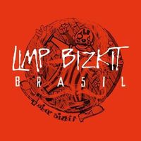 limpbizkitbrasil