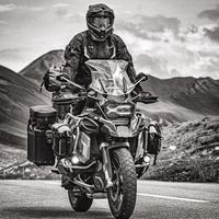 nelson_blue_rider