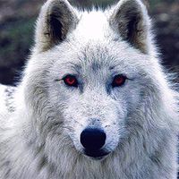 ghost.keiba