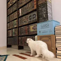 original sound - e.ar28