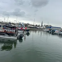 original sound - tarikboudyab