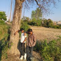 mr.krishna.com