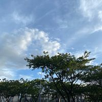 suara asli - umar ojol