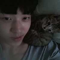 오리지널 사운드 - 윤도공
