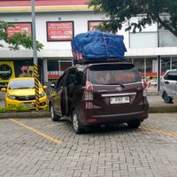 suara asli - Timo Trevel jpk Jabodetabek ☎️