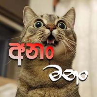 original sound - අනං මනං - Anan Manan