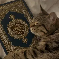 اللهم شعور هذه الآية