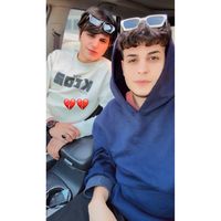 الصوت الأصلي